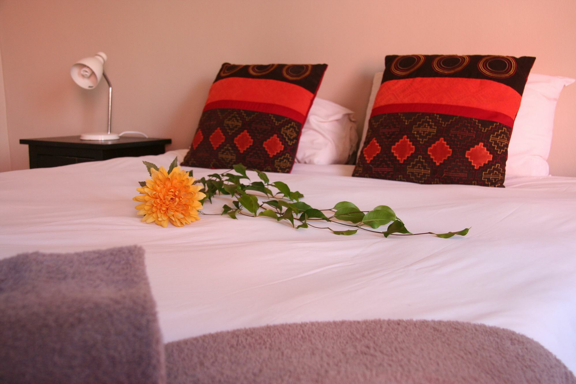 Dunedin Star Guesthouse Swakopmund Luaran gambar
